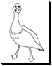 bird coloring pages