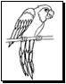 bird coloring pages