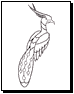 bird coloring pages