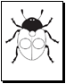 ladybug coloring page