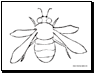 bee coloring pages