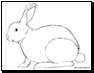 bunny coloring pages