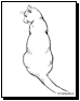 cats coloring pages