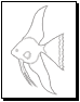 fish coloring page