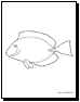 fish coloring page