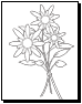 flower coloring page