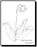 flower coloring page