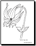 flower coloring page