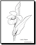 flower coloring page