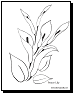 flower coloring page