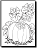 Pumpkin leaves coloring pages