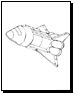 rocket coloring page